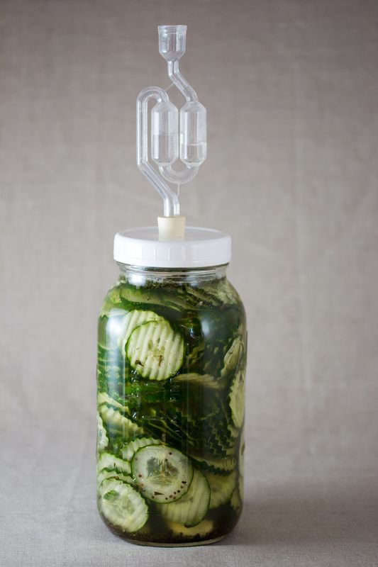 Wild fermenting pickles